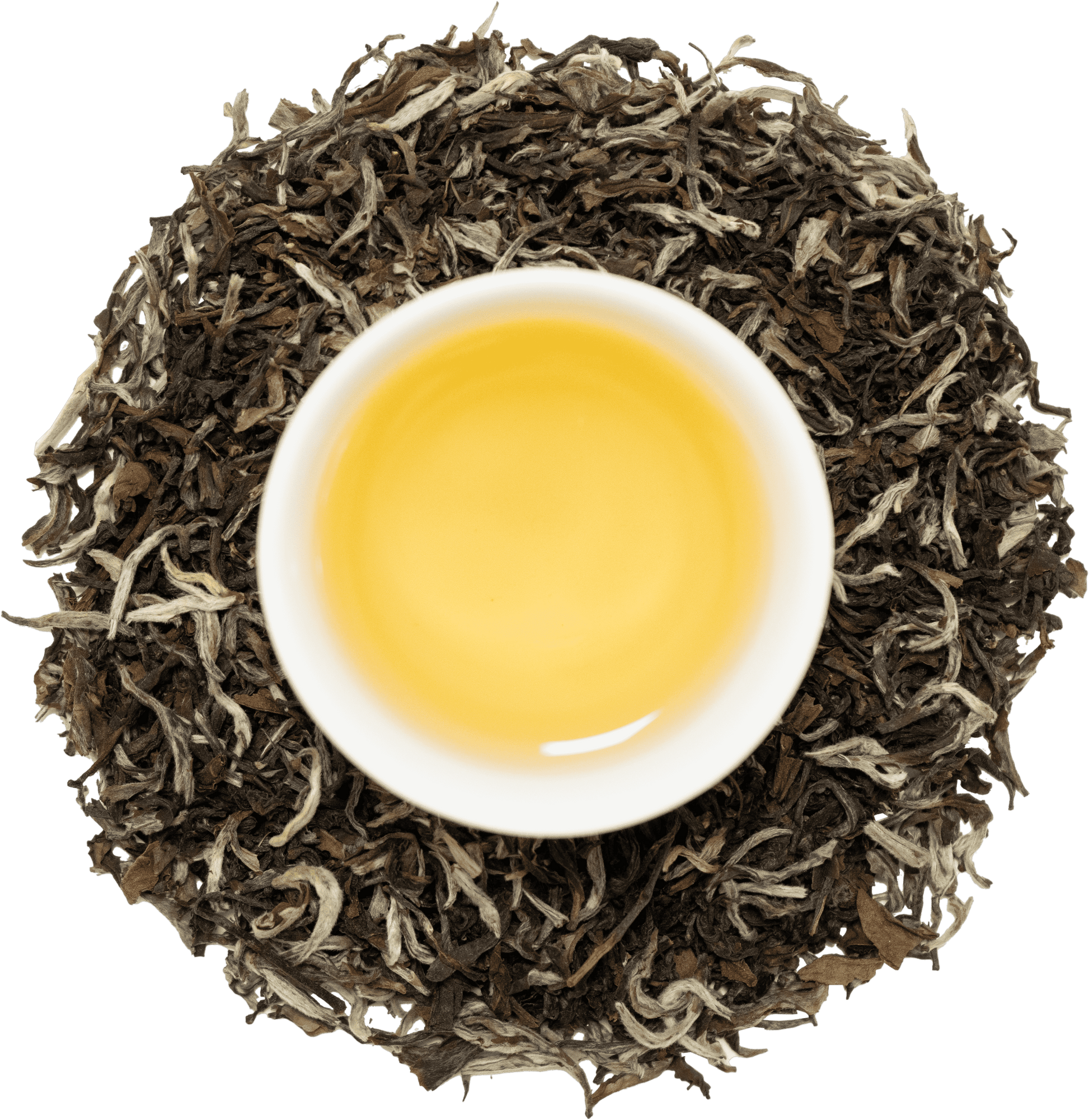 www.maherbagh.com 100g Caddy Darjeeling White Tea